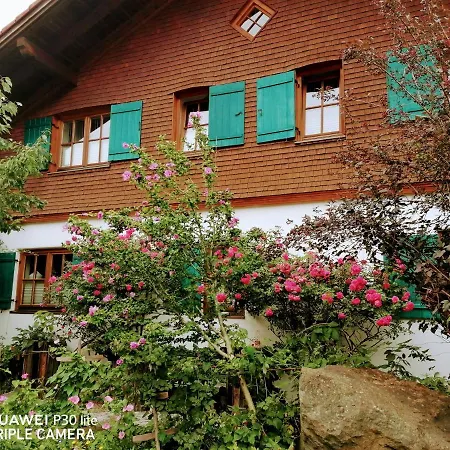 Alpenstyle Mit Suedbalkon In Geisteier's Hues Апартаменты